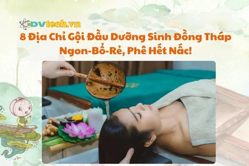 8 Địa Chỉ Gội Đầu Dưỡng Sinh Đồng Tháp 2025 Ngon-Bổ-Rẻ, Phê Hết Nấc!