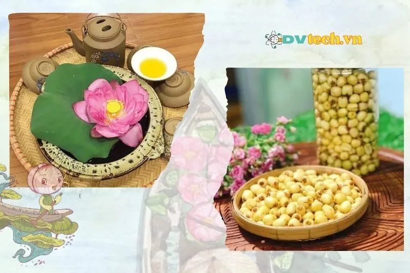 Các Sản Phẩm Từ Sen Hồng