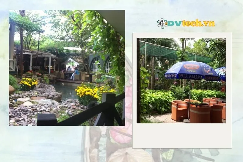 Cafe Xanh - Khúc Thụy Du