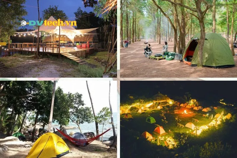 Cắm Trại Đồng Tháp - Trải Nghiệm Đậm Chất Miền Tây