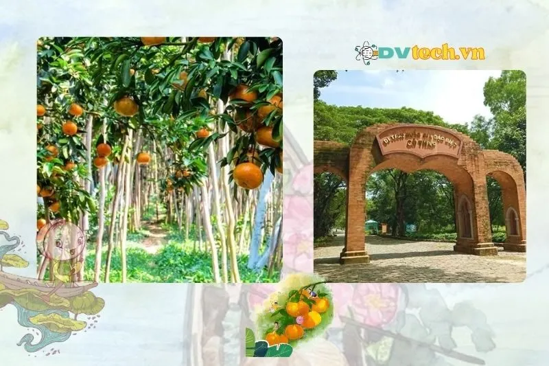 Địa điểm tham quan nổi tiếng và các hoạt động không thể bỏ lỡ tại Đồng Tháp