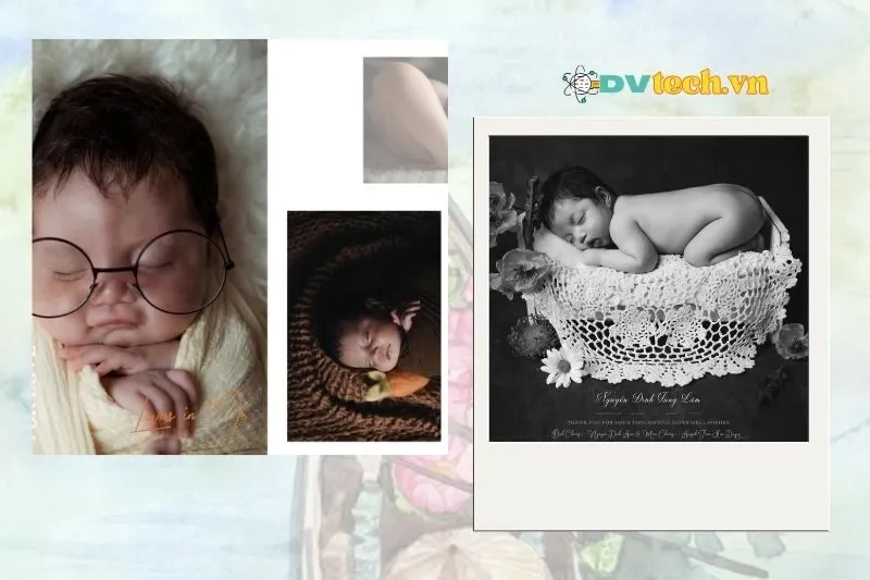 Đổng Vỹ Baby Studio