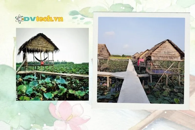 Hai Lửa Homestay (Lotus Lake Homestay)