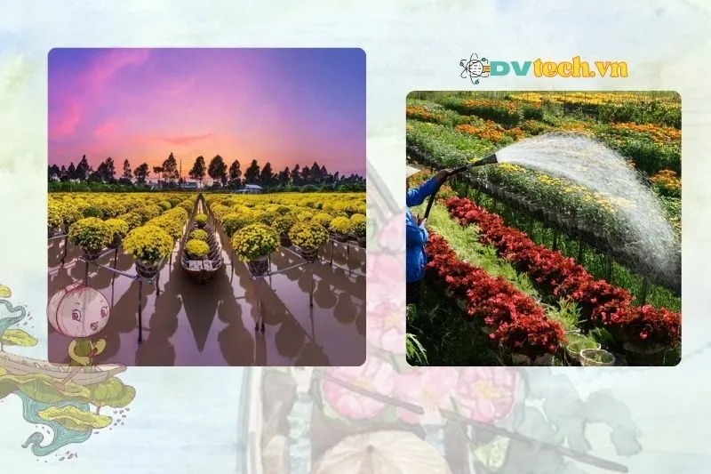 Làng hoa Sa Đéc – Vương quốc hoa miền Tây