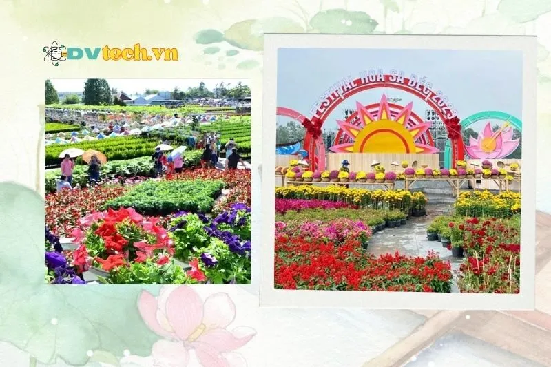 Lễ hội hoa Sa Đéc