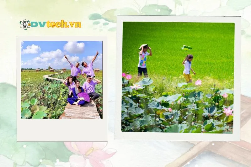 Lưu ý khi du lịch Đồng Tháp để có trải nghiệm trọn vẹn