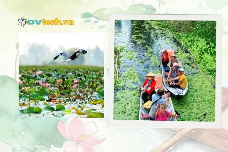 Mùa nước nổi (Tháng 8 - Tháng 11)