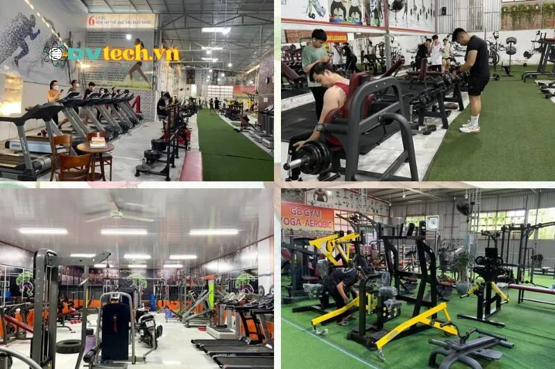 Phòng Tập Gym Đồng Tháp: Những Địa Điểm Không Thể Bỏ Lỡ