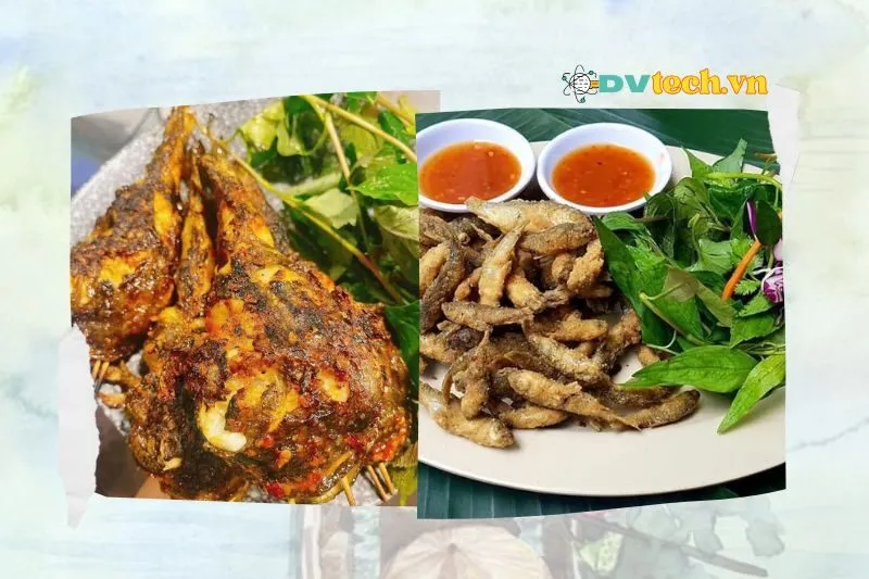 Quán Thuần Việt