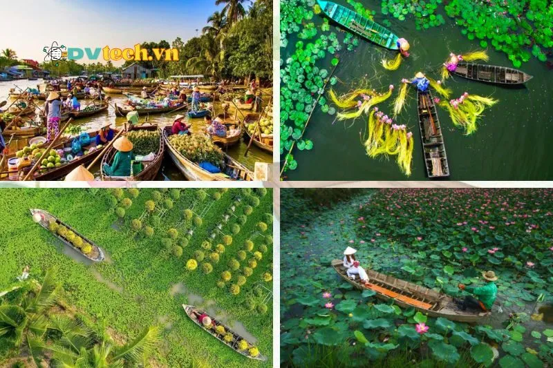 Thời điểm đẹp nhất để du lịch Đồng Tháp