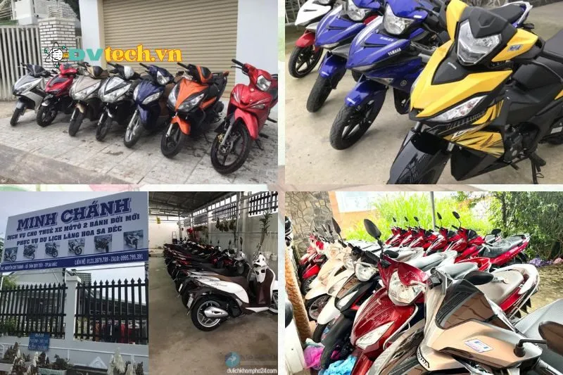 Thuê xe máy Đồng Tháp - Trải nghiệm tự do khám phá miền Tây