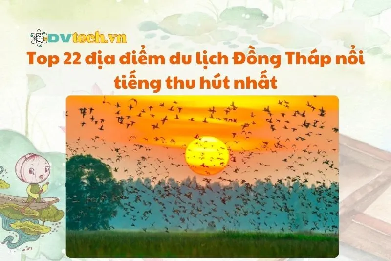 Top 22 địa điểm du lịch Đồng Tháp nổi tiếng thu hút nhất 2025