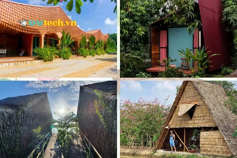 Top 7 Homestay Đồng Tháp Đẹp Xỉu 