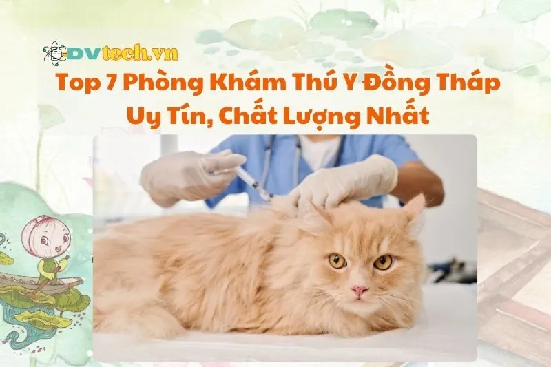 Top 7 Phòng Khám Thú Y Đồng Tháp Uy Tín, Chất Lượng Nhất 2025