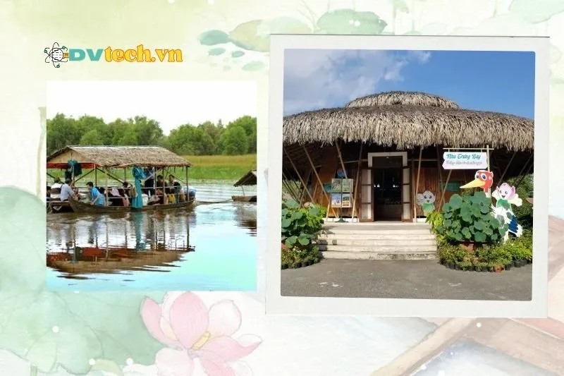 Vườn quốc gia Tràm Chim