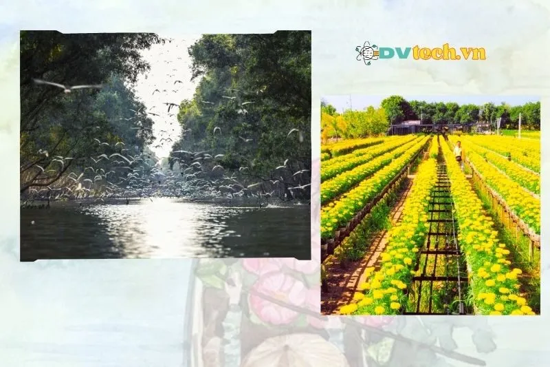 Các điểm tham quan kết hợp khi đến Đồng Tháp