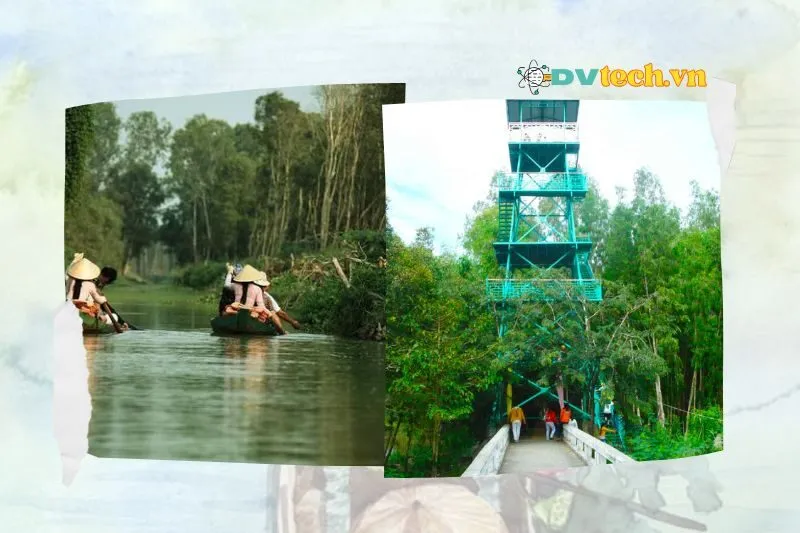 Các hoạt động nổi bật tại Khu du lịch sinh thái Gáo Giồng Đồng Tháp