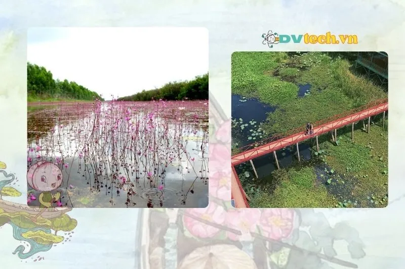 Các tour tham quan Vườn quốc gia Tràm Chim Đồng Tháp đáng cân nhắc