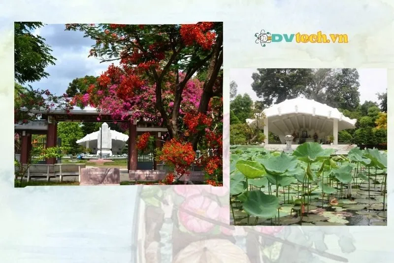 Cảnh Quan Xanh Mát Và Các Điểm Nổi Bật