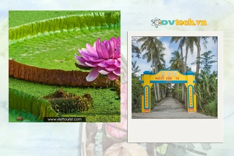 Chùa Lá Sen Đồng Tháp nằm ở đâu và cách đi như thế nào?