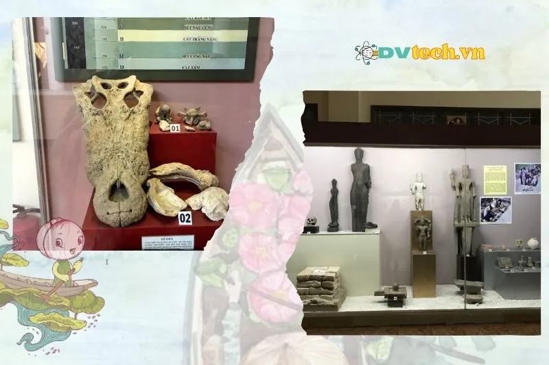 Hành trình khám phá tại Bảo Tàng Đồng Tháp