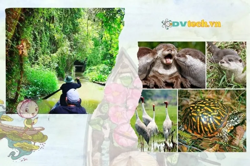 Hệ sinh thái đặc biệt tại khu du lịch Xẻo Quýt