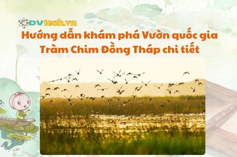 Hướng dẫn khám phá Vườn quốc gia Tràm Chim Đồng Tháp chi tiết