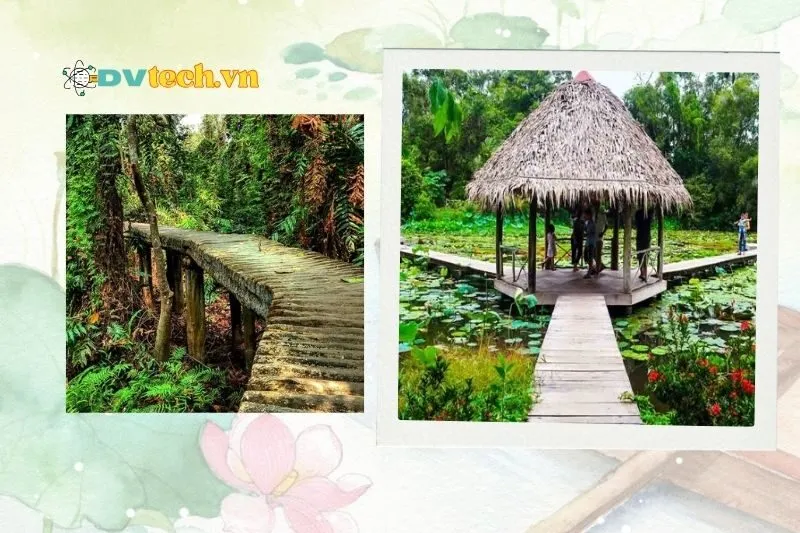 Hướng dẫn tham quan khu du lịch Xẻo Quýt