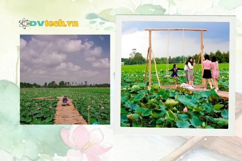 Khám phá vẻ đẹp thiên nhiên tại Đồng Sen Tháp Mười