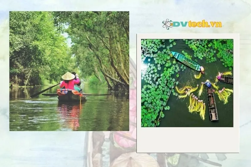 Khu du lịch sinh thái Gáo Giồng Đồng Tháp ở đâu và cách di chuyển như thế nào?