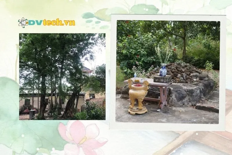 Kiến trúc và không gian đặc trưng tại Miếu Hoàng Cô