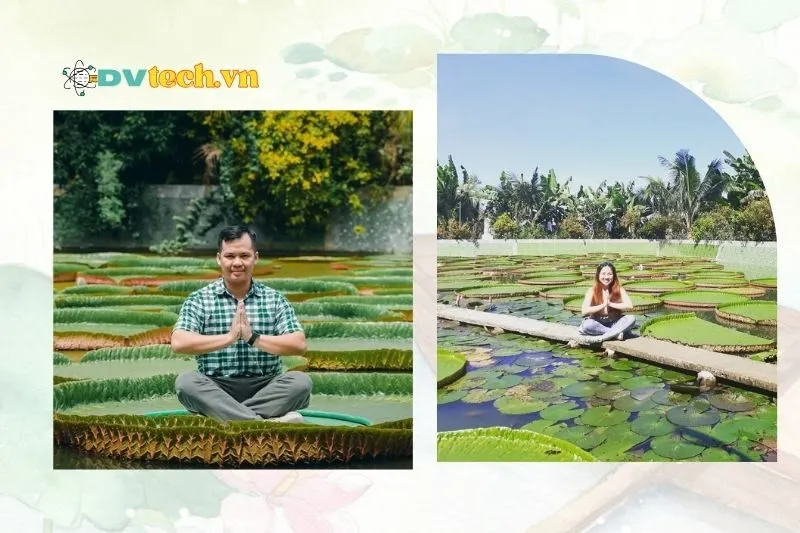 Kinh nghiệm tham quan chùa Lá Sen Đồng Tháp