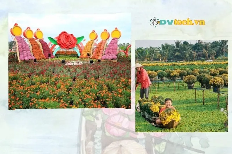 Làng hoa kiểng Sa Đéc Đồng Tháp – Gợi ý lịch trình tham quan hoàn hảo