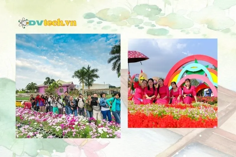 Những lưu ý khi tham quan Làng hoa kiểng Sa Đéc Đồng Tháp