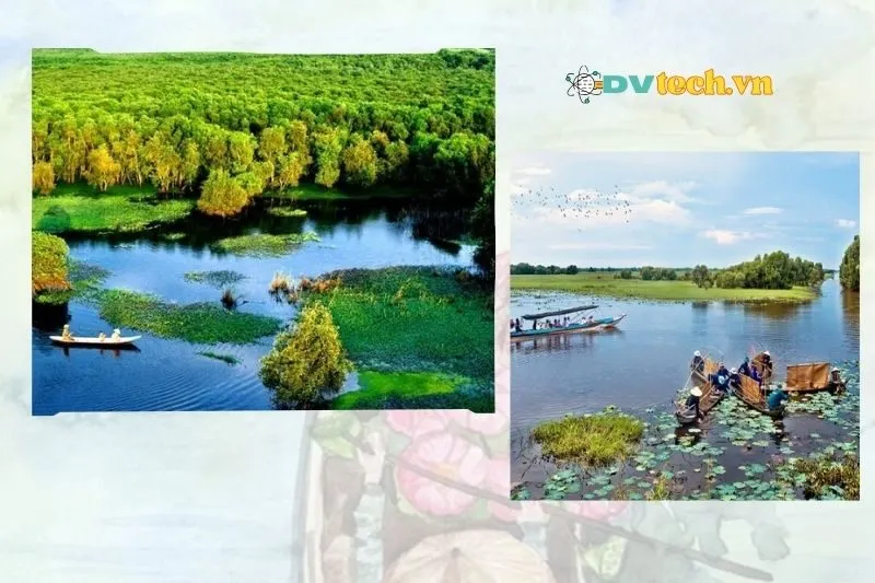 Những lưu ý khi tham quan Vườn quốc gia Tràm Chim Đồng Tháp