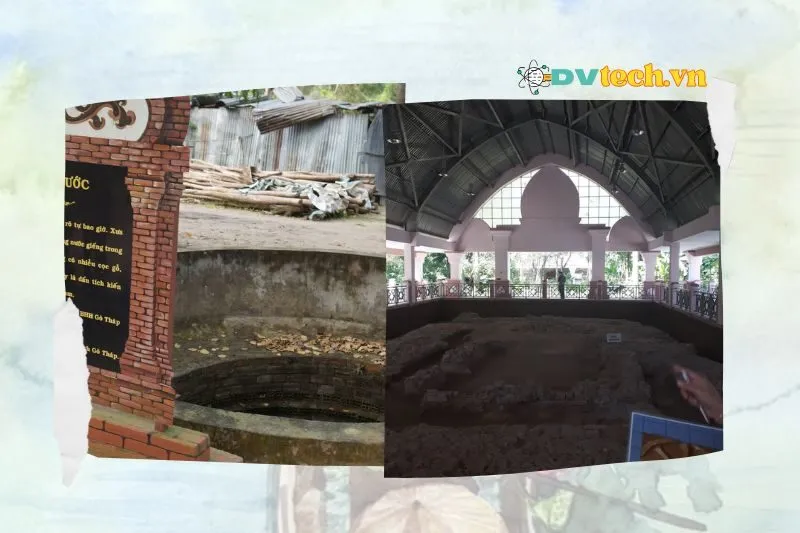 Những phát hiện khảo cổ liên quan đến Miếu Hoàng Cô