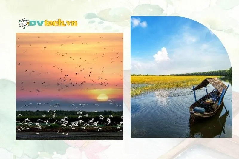 Những trải nghiệm không thể bỏ lỡ tại Vườn quốc gia Tràm Chim Đồng Tháp