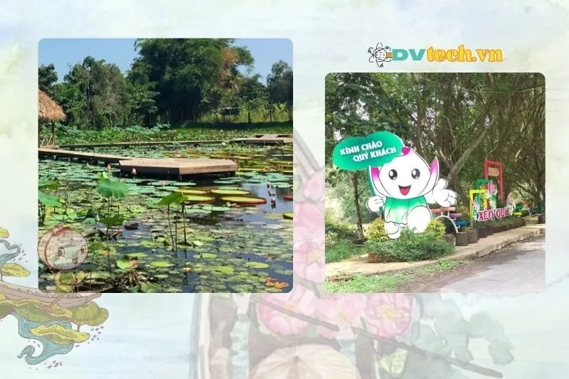 Tại sao nên tham quan khu du lịch Xẻo Quýt Đồng Tháp?