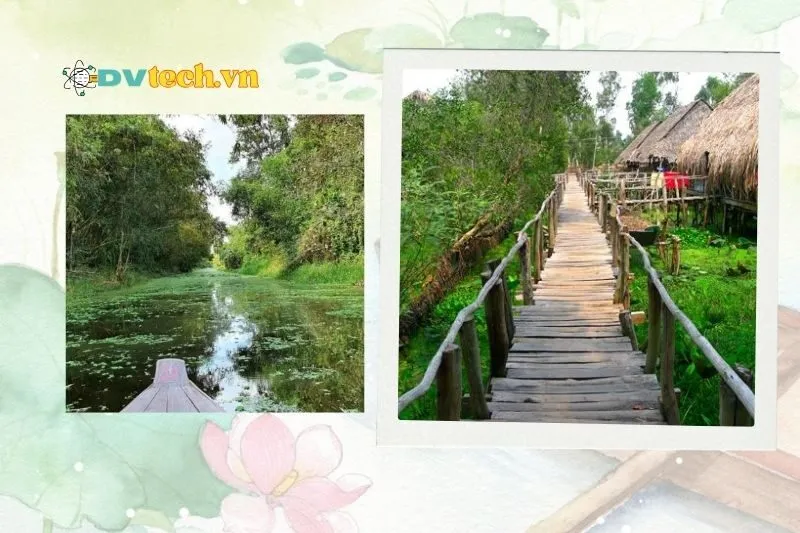 Thời điểm lý tưởng để tham quan Khu du lịch sinh thái Gáo Giồng Đồng Tháp