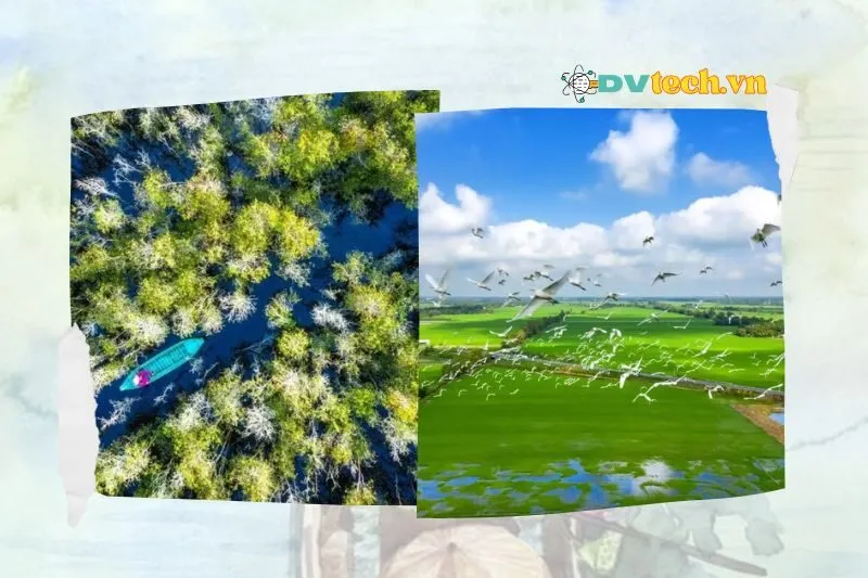 Thời điểm nào thích hợp để du lịch Vườn quốc gia Tràm Chim Đồng Tháp?