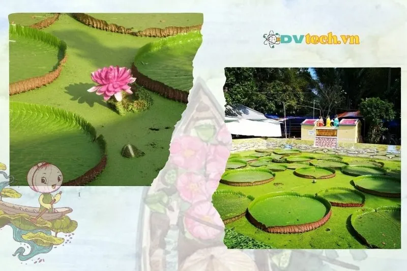 Thời điểm tốt nhất để tham quan chùa Lá Sen