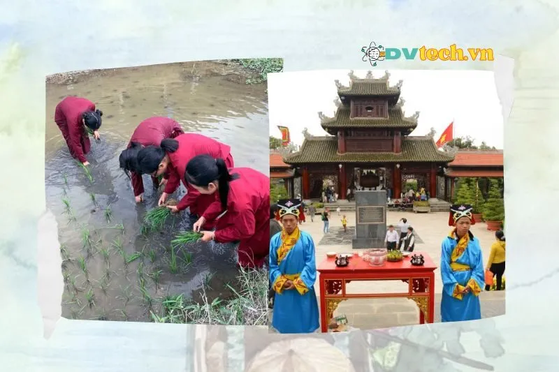 Trải nghiệm độc đáo tại khu du lịch văn hóa Phương Nam Đồng Tháp