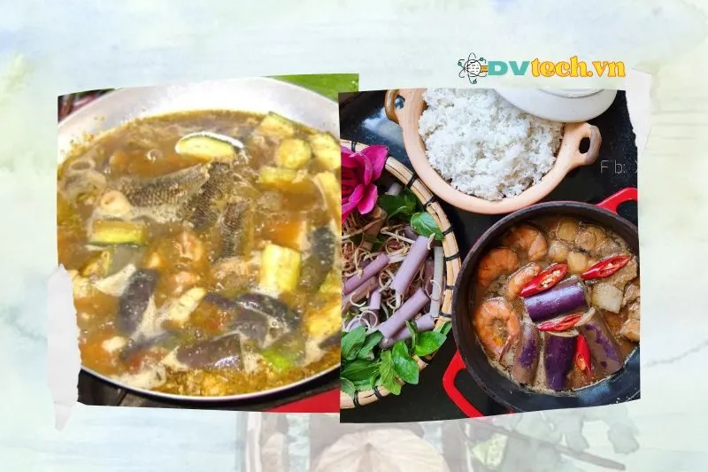 Bông súng mắm kho Đồng Tháp có gì đặc biệt so với các món mắm kho khác?