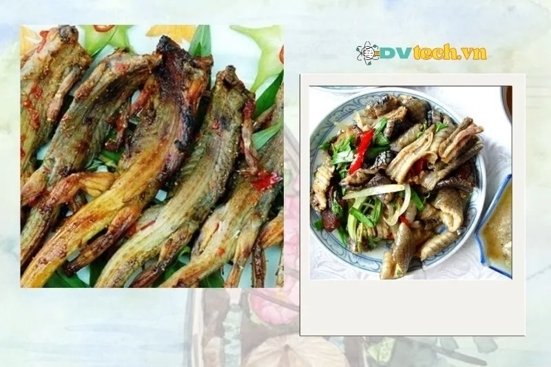 Cách làm tắc kè xào lăn Đồng Tháp chuẩn vị