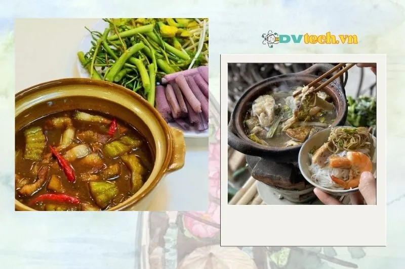Cách nấu bông súng mắm kho Đồng Tháp chuẩn vị miền Tây
