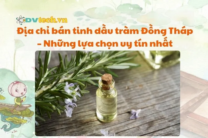 Địa chỉ bán tinh dầu tràm Đồng Tháp – Những lựa chọn uy tín nhất