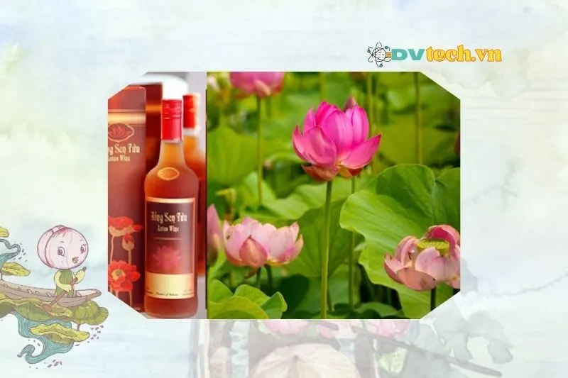Địa chỉ cửa hàng bán rượu sen Đồng Tháp uy tín