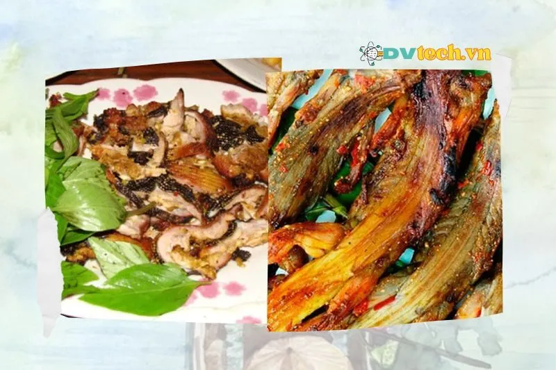 Giá trị dinh dưỡng của tắc kè xào lăn Đồng Tháp