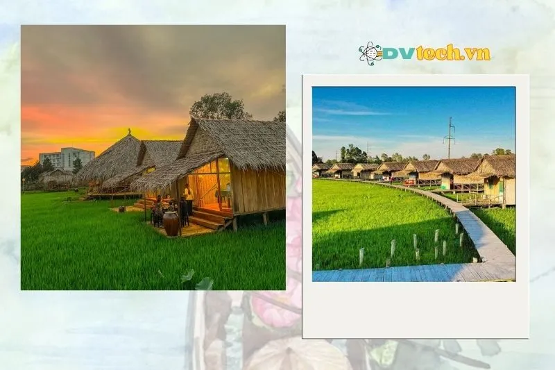 Khu du lịch sinh thái Mỹ Phước Thành Đồng Tháp có gì đặc biệt?