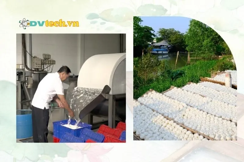 Làng bột Sa Đéc và vai trò trong xuất khẩu, phát triển kinh tế
